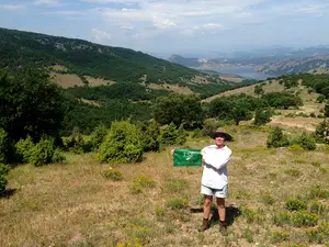 Rachelle McKnight, a third-year graduate student earning her master’s degree in landscape architecture at SUNY-ESF, spent six hours a day on the 2,000-acre Bulgarian ridge where the horses she studied roamed.