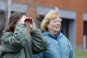 Nancy Schreher and Alice Fox started the Facebook group Syracuse Hawk Chatters after encountering a lot of people that shared their fascination for the red-tailed hawks living on the SU campus.