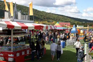 The annual LaFayette Apple Festival brings in about 30,000 attendees and displays more than 400 tables for crafts, food and fun.