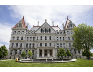 After the overturning of Roe v. Wade last year, New York state voted to enshrine abortion rights protections and is stockpiling Misoprostol. 10 other states expanded abortion protections after the ruling, while restrictions increased in most others.