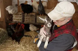 Steve Carlic, an adjunct professor at the S.I. Newhouse School of Public Communications, holds Millie, an alpine and dwarf goat mix, in his arms inside his chicken coup in Marcellus, N.Y.