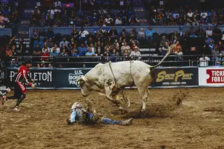 Eli Bayer slams into the floor after being bucked off of his bull.