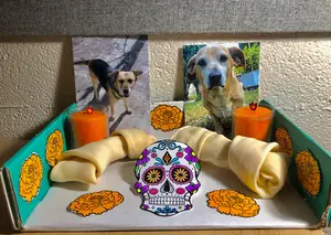 Ofrendas, Spanish for “offerings,” are a collection of photos and items that people and families make to invite their deceased loved ones back.