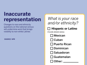The 2030 national census will combine race and ethnicity into one question. Our columnist argues that this will undo years of work that brings light to non-white Latines both within and outside of the community.
