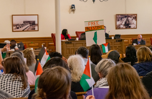 The Common Council chamber was packed with attendees that waved Palestinian flags and held signs calling for a ceasefire during its Monday meeting.