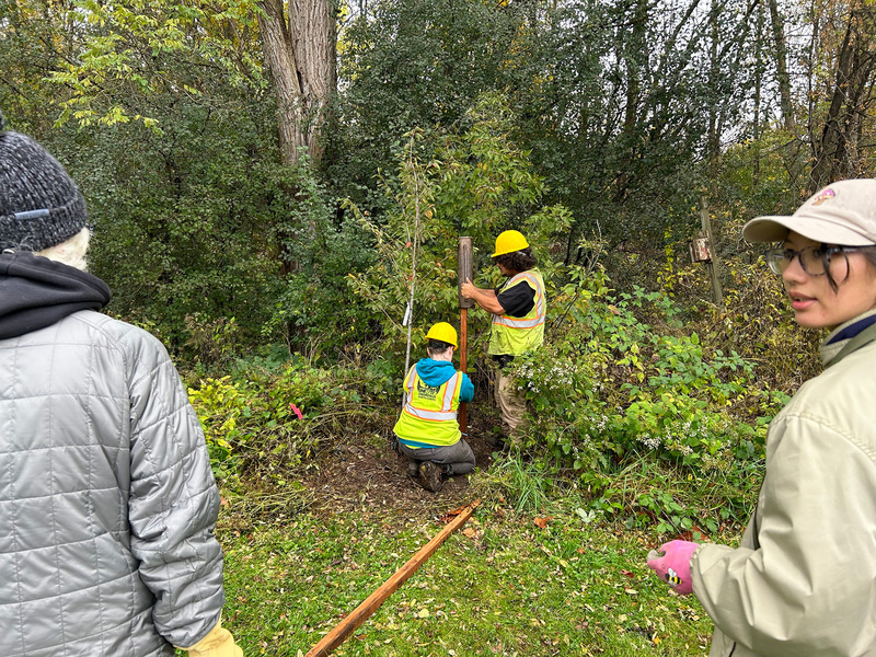 Urban Tree Planting Projects - GreenBlue Urban